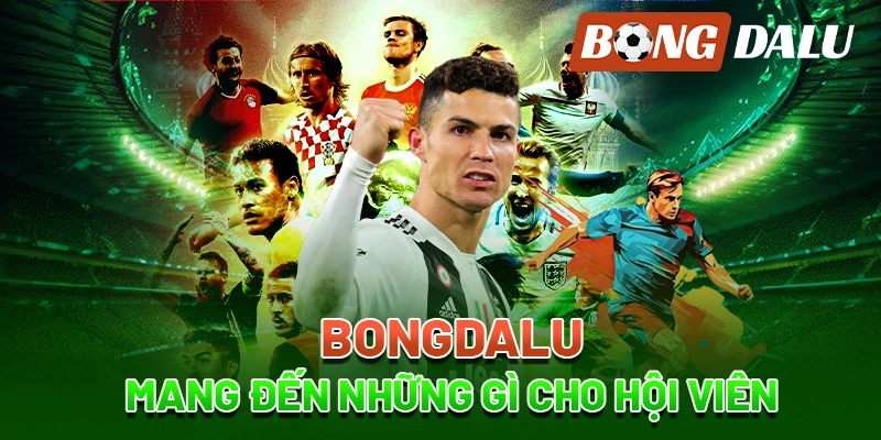 Nội dung chính trên bongdalu88